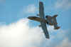 20100410_BurnetAir 017.jpg (43138 bytes)