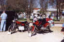 01_hog1.JPG (36265 bytes)