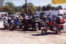 01_hog3.JPG (35111 bytes)